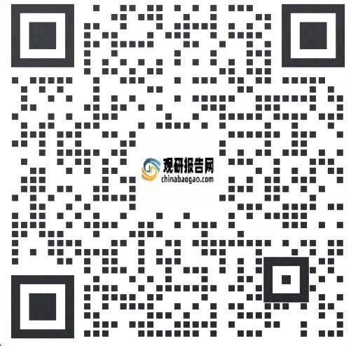 2019年中國拍Kaiyun網(wǎng)址 開云賣行業(yè)分析報告-市場調(diào)查與未來動向研究(圖6)